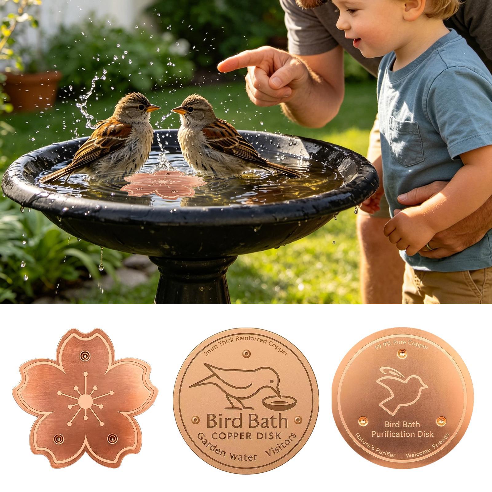 Copper For Bird Bath Safe Puri - Watch S avaliação e preço